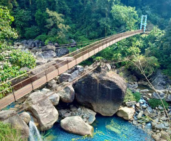 Mawsaw Steel and Root Bridge